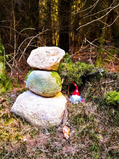 Wichtel gibt es auch im Wald